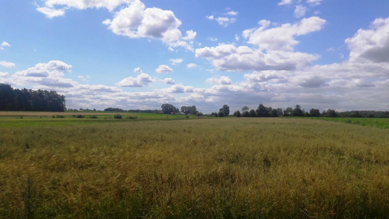 Apartamenty Sawino 4 Tykocin Zewnętrze zdjęcie