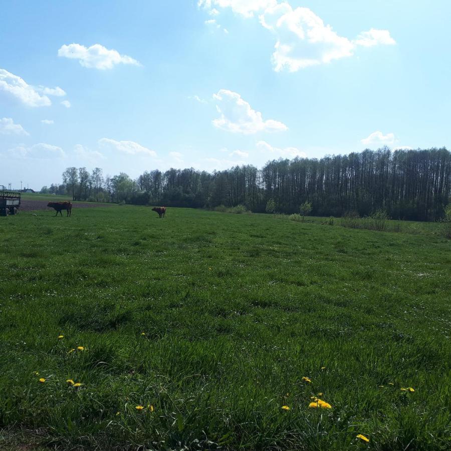 Apartamenty Sawino 4 Tykocin Zewnętrze zdjęcie